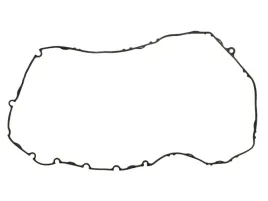 uszczelka-pokrywy-obudowy-skrzyni-biegow-2-44855