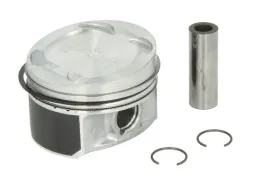 tlok-0280312-mah-mahle-original