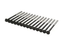 zestaw-srub-glowicy-cylindrow-14-32365-01-victor