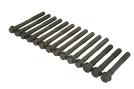 zestaw-srub-glowicy-cylindrow-14-32284-03