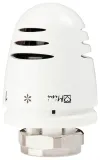 glowica-herz-1920068