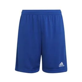 spodenki-juniorskie-entrada-22-adidas-176cm
