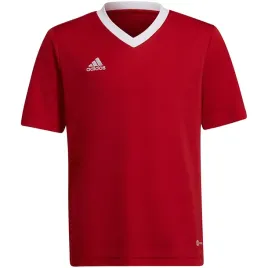 koszulka-juniorska-entrada-22-jersey-adidas-176cm