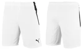 spodenki-meskie-team-liga-puma-l