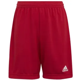 spodenki-adidas-entrada-22-short-y-h57501-czerwony-116-cm