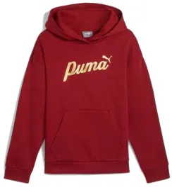 bluza-juniorska-ess-script-metallic-hoodie-puma-128cm