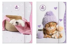 teczka-z-gumka-a4-the-sweet-pets-piesek-kotek-rozne-do-wyboru