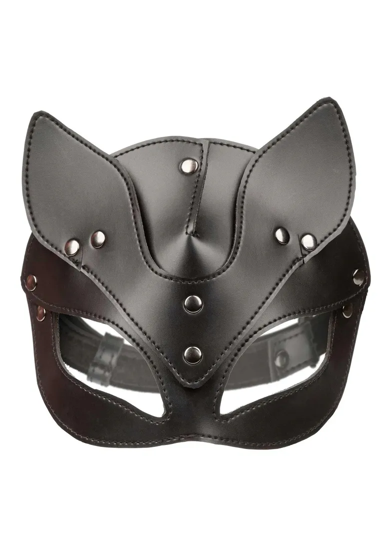 cat-mask-cat-mask