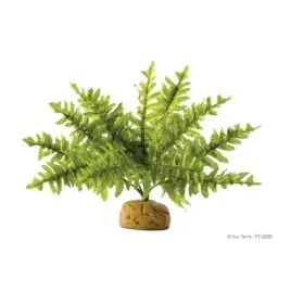 exo-terra-roslina-sztuczna-paproc-boston-fern-s