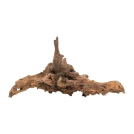 terranatura-drewno-koralowe-duze-80-100-cm