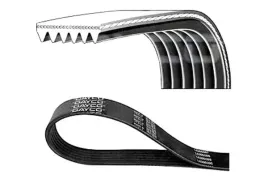 dayco-pasek-wielorowkowy-6pk905s-citroen-berlingo