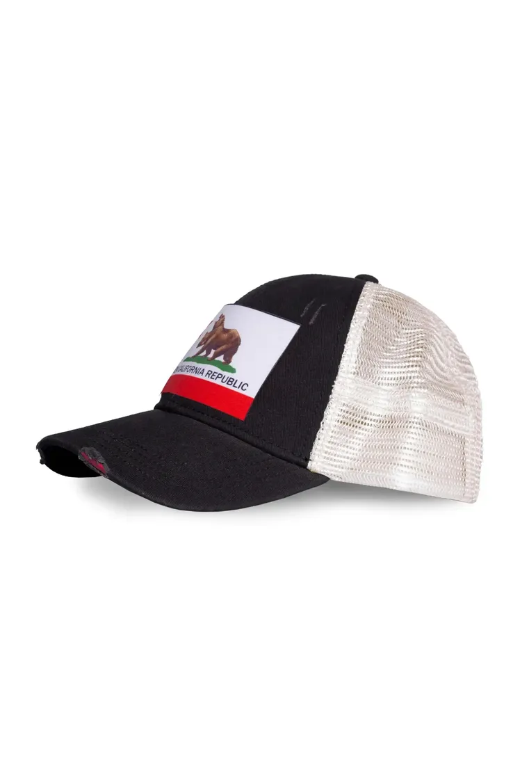 fallout-snapback-new-california-republic-stan-nowy