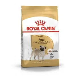 royal-canin-pug-adult-15kg