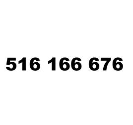 zloty-numer-516-166-676-orange-starter-vip-latwy-prosty-biznesowy-infolinia