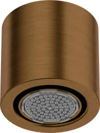 deante-silia-glowka-prysznicowa-1-funkcyjna-braz-szczotkowany