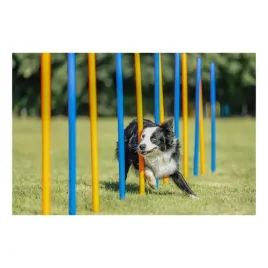 trixie-fun-agility-slalom-slupki-zrecznosciowe-12-szt-3x115cm