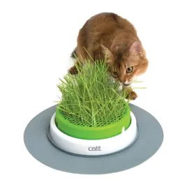 catit-senses-zestaw-trawa-ogrodowa-5-5x37x37cm