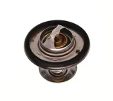 termostat-ford-92c