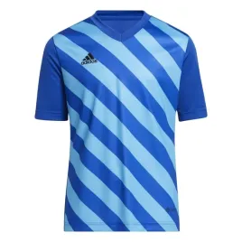 koszulka-dla-dzieci-adidas-entrada-22-graphic-jersey-niebieska-hf0130-116cm