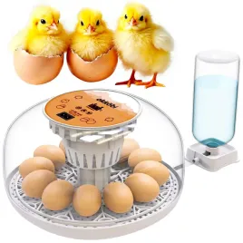 inkubator-do-jajek-automatyczny-klujnik-wylegarka-wylegarnia-do-12-jaj