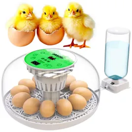 inkubator-do-jajek-automatyczny-klujnik-wylegarka-wylegarnia-do-12-jaj