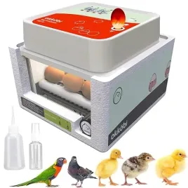 inkubator-klujnik-wylegarka-do-jaj-wylegu-drobiu-ptakow-12szt