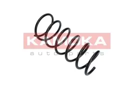 wycofana-2110304-kao-kamoka