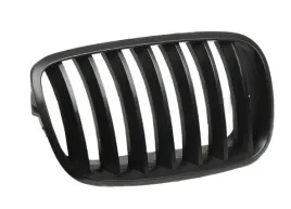 atrapa-nerka-bmw-x5-e70-06-10-czarna-nowa-prawa