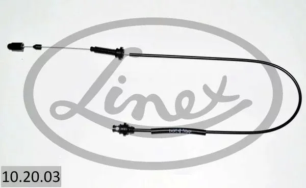 linka-gazu-10-20-03-lin