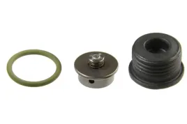 zestaw-naprawczy-systemu-common-rail-f00n202418-bos