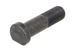 sruba-kola-01647-feb