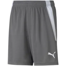 spodenki-dla-dzieci-puma-teamliga-shorts-jr-smoked-szare-704931-13-152cm