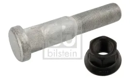 sruba-kola-fe35176