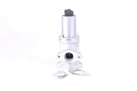 zawor-egr-98308-nis