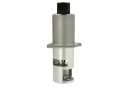 zawor-egr-98163-nis