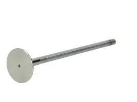 mahle-209-va-31297-000-zawor-wydechowy