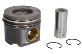 mahle-081-pi-00103-002-tlok