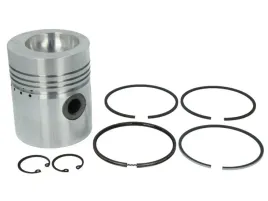 tlok-mahle-043-78-00