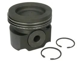 mahle-038-73-00-tlok