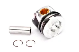 mahle-030-58-02-tlok