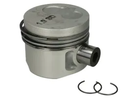 mahle-029-82-00-tlok