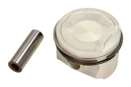 mahle-022-06-01-tlok