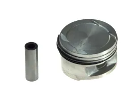 mahle-011-69-00-tlok