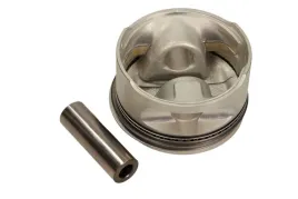 mahle-011-08-11-tlok