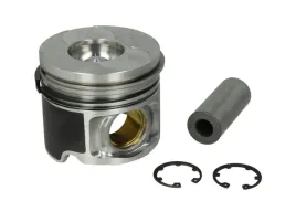 mahle-010-15-00-tlok