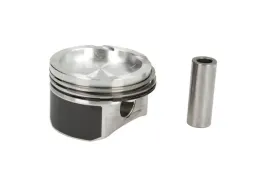 mahle-010-05-00-tlok