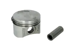mahle-009-36-00-tlok