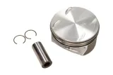 mahle-005-24-01-tlok