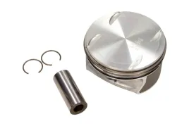 mahle-005-24-01-tlok