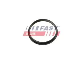 uszczelka-pompy-podcisnienia-transit-13-ft49853-fas